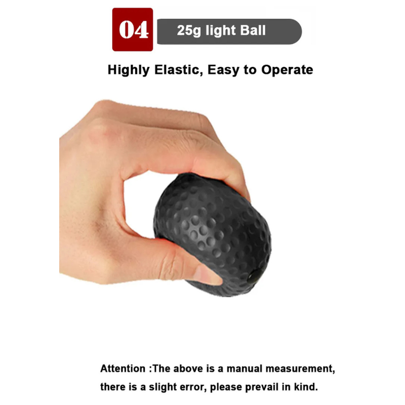 PunchPro - Reflex Ball for Boxing Training
