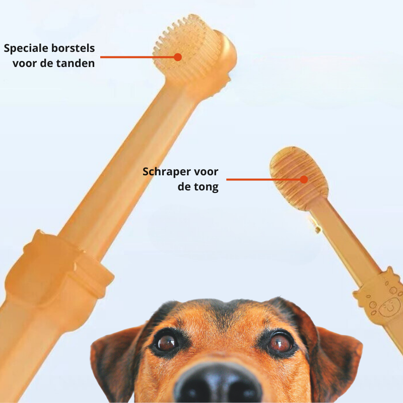 DoggyDent – Professional Toothbrush for Dogs