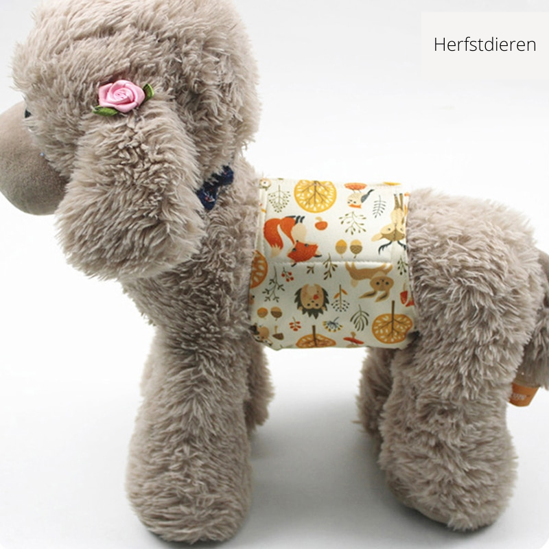 CleanPaw – Washable Dog Diaper for Worry-Free Comfort