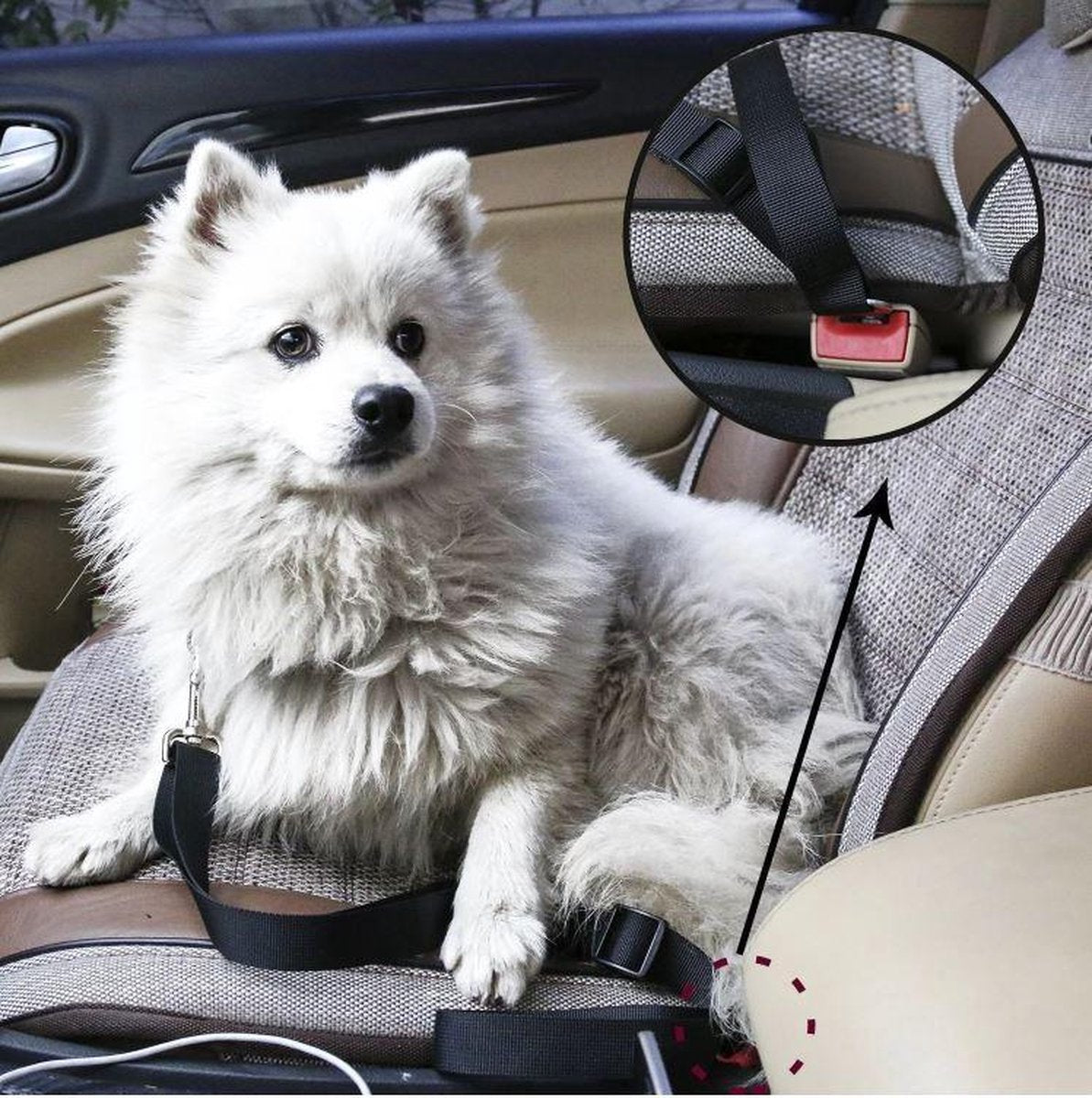 PetSecure – Safety Seat Belt for Pets