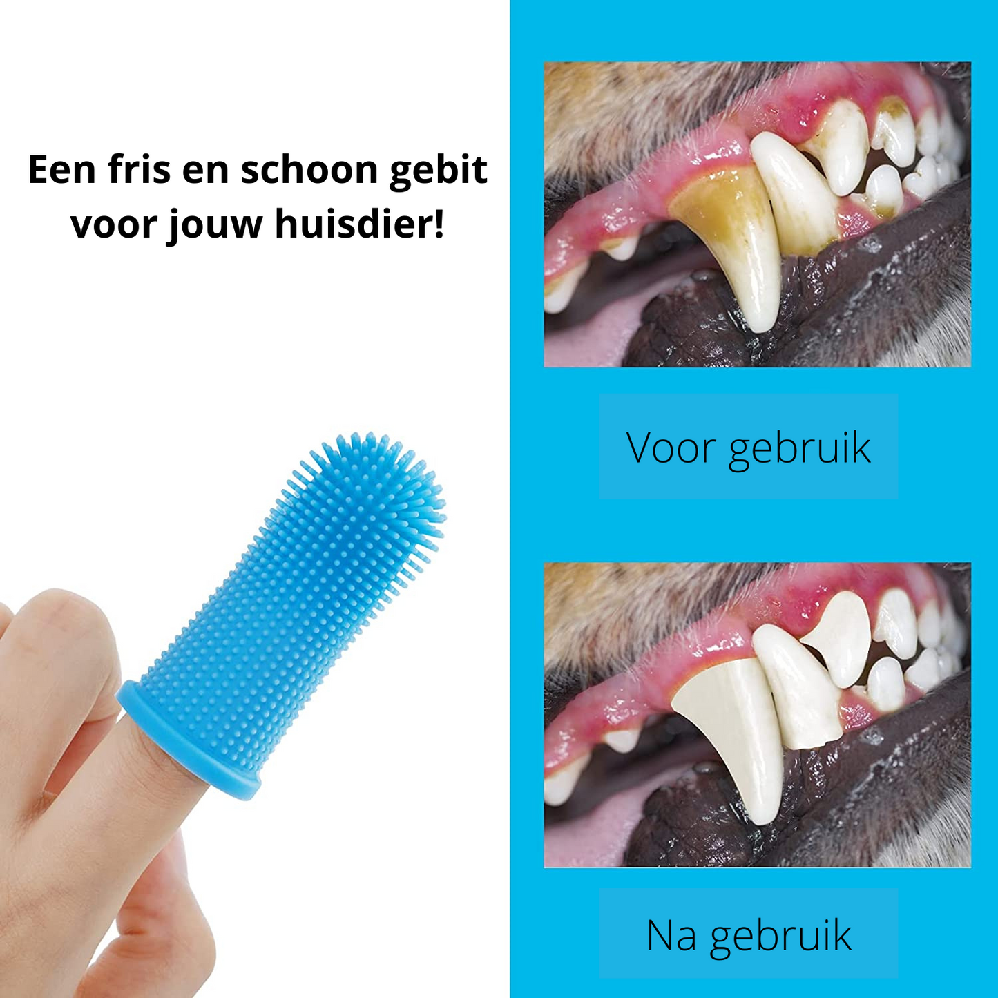 PawClean Pro – Safe At-Home Dental Care for Dogs