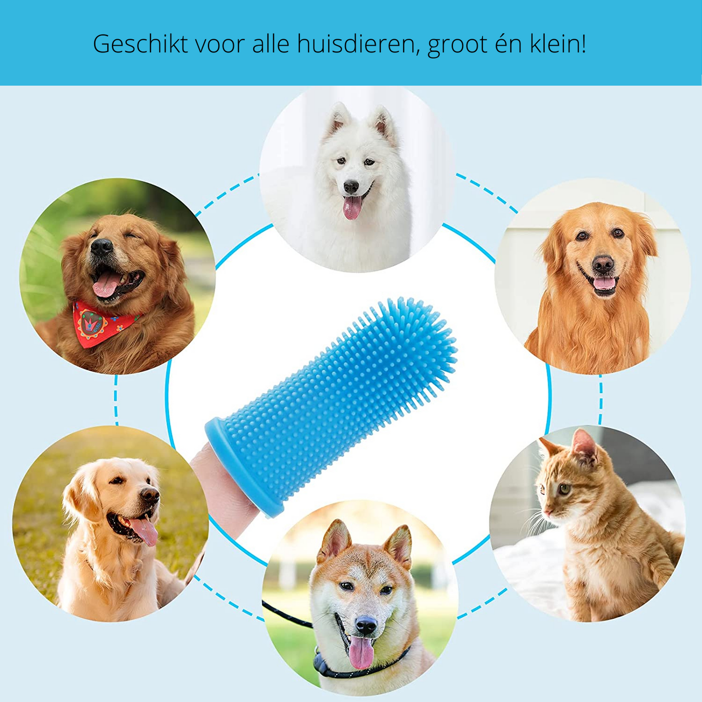 PawClean Pro – Safe At-Home Dental Care for Dogs
