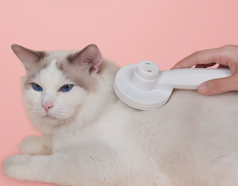 SelfClean – Innovative Cat Brush for Grooming