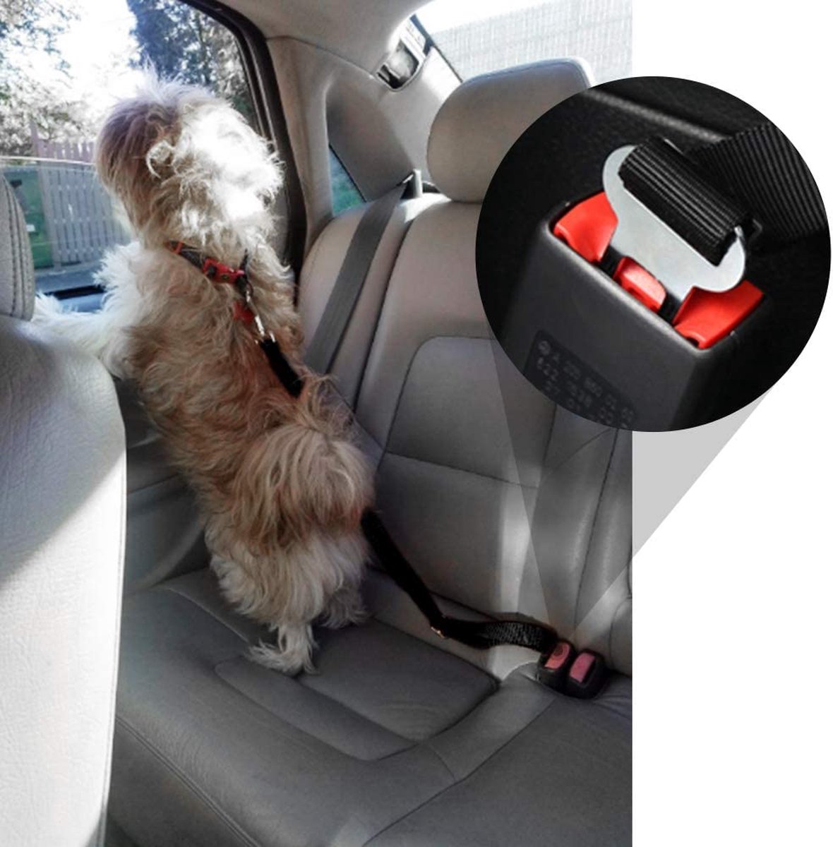 PetSecure – Safety Seat Belt for Pets