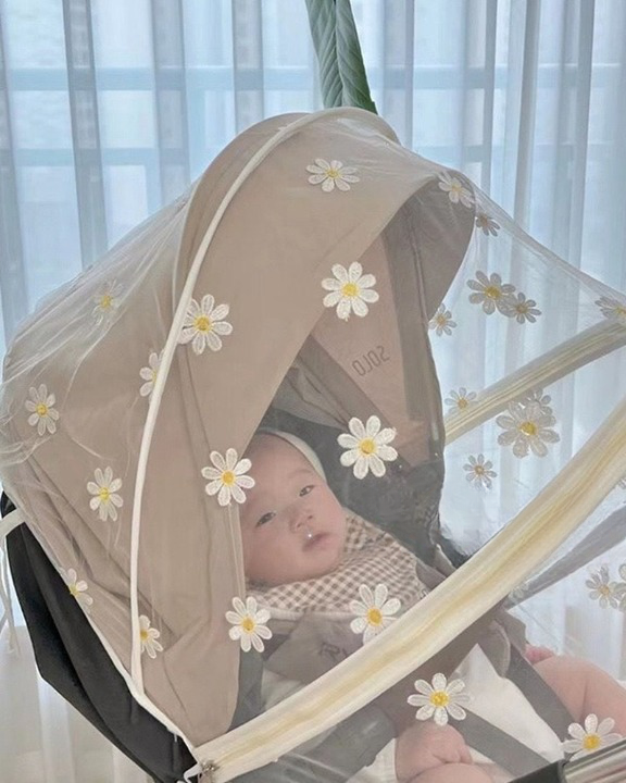 StrollerShield – Protective Canopy for Outdoor Walks