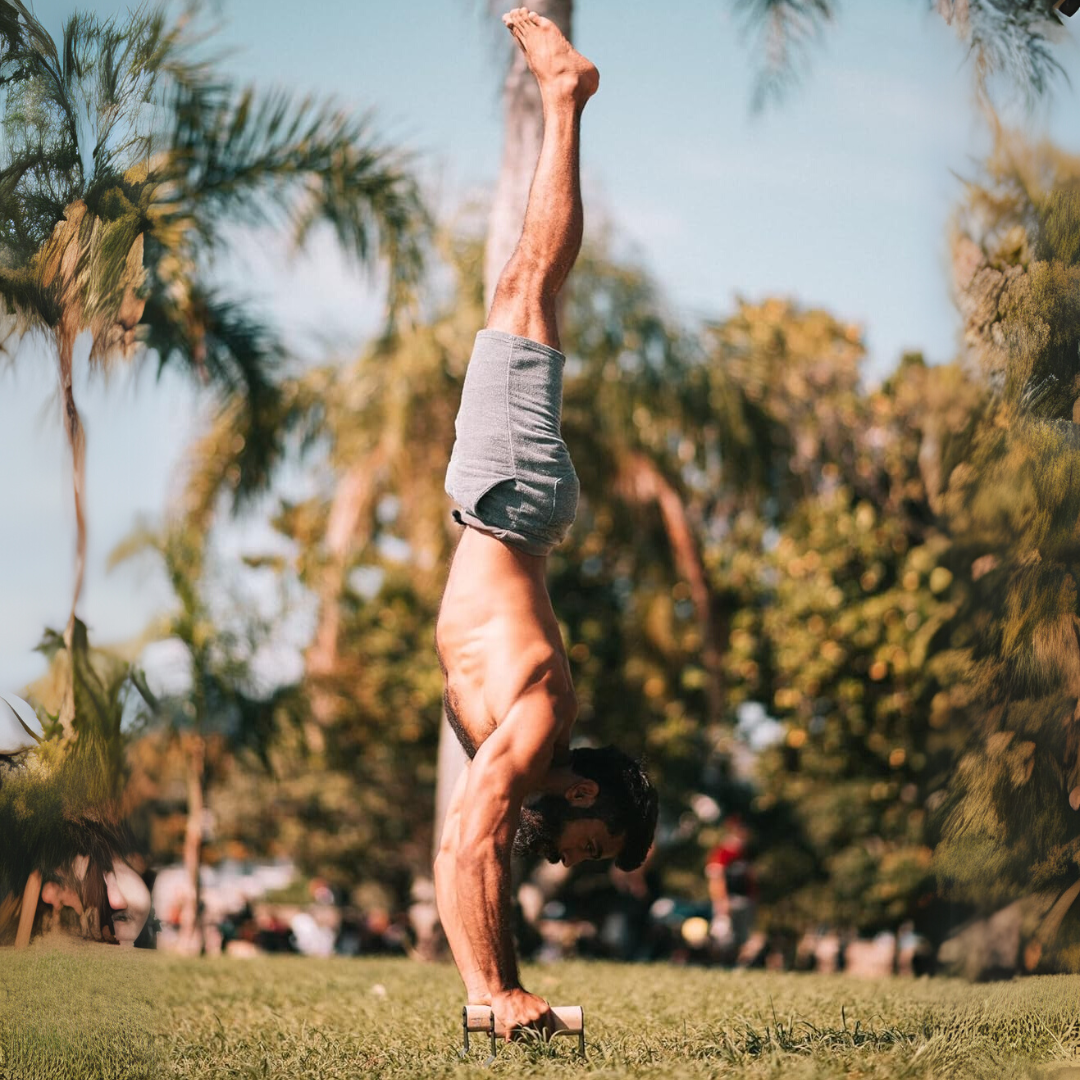 PowerGrip - Wooden Push-Up Parallettes with Anti-Slip