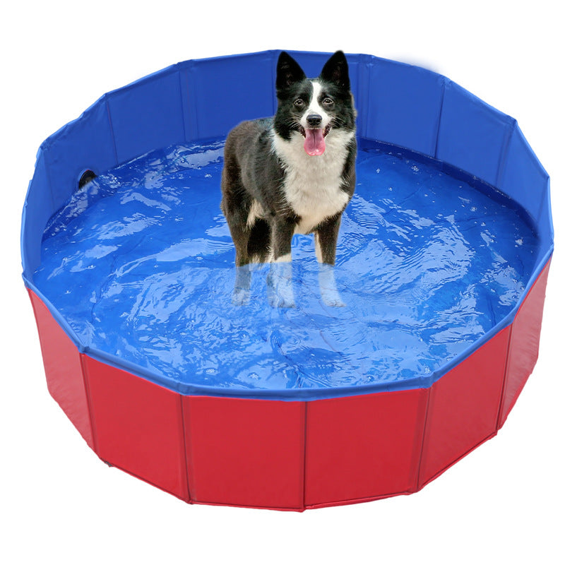 CoolPaws – Luxury Dog Pool for the Garden
