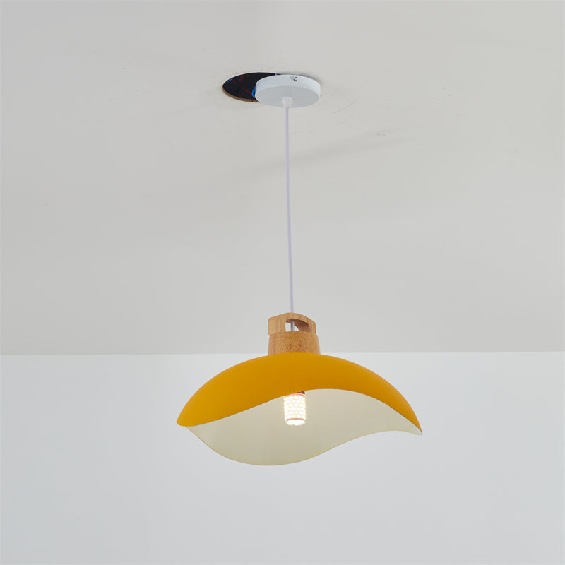 EleganteLuxe - Luxury Morandi Pendant Light for Indoors