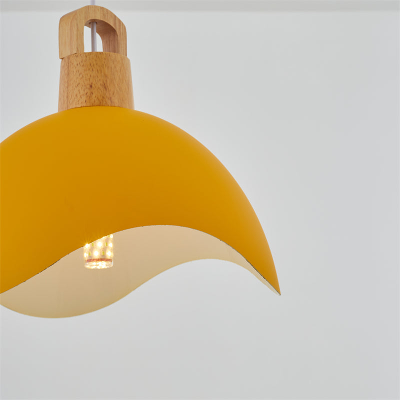 EleganteLuxe - Luxury Morandi Pendant Light for Indoors