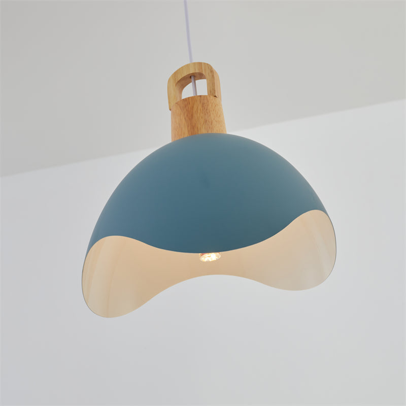 EleganteLuxe - Luxury Morandi Pendant Light for Indoors