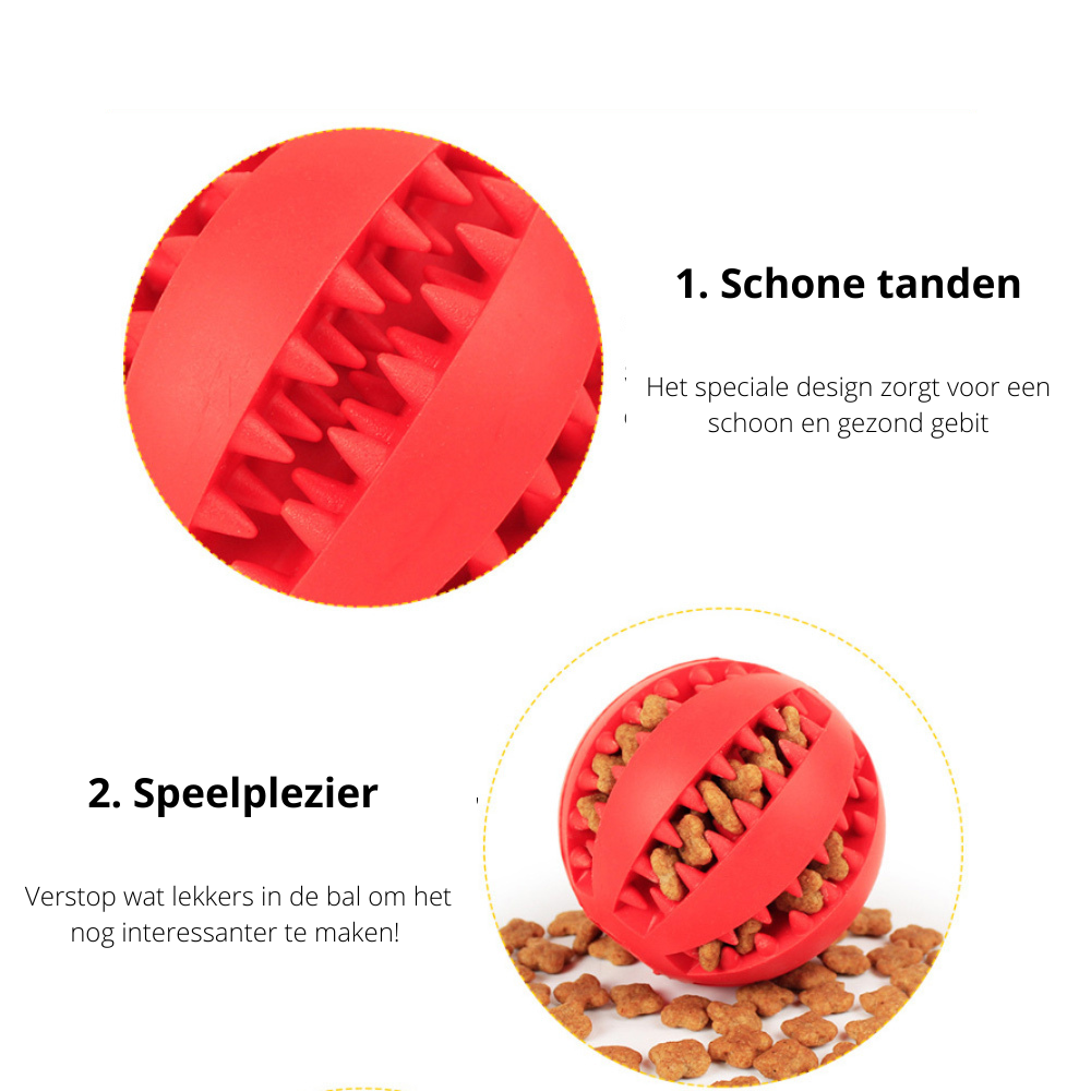 PlayMaster – Durable Interactive Dog Toy for Fun