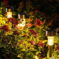 SolarAura - Elegant Solar Energy Garden Lighting