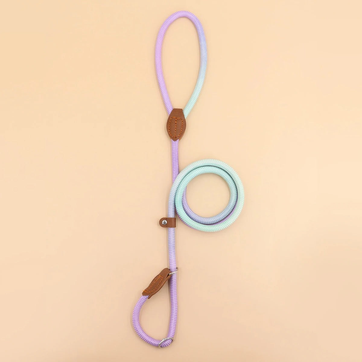 Clémentine Laisse – Colorful Dog Leash for Stylish Walks