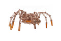 WoodCraft Spider Puzzle - 3D Mechanical Model