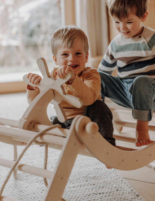 AdventureWheel Toy - Steering Wheel for Climbing Frames