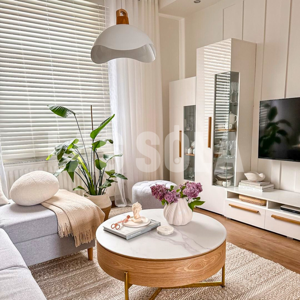 EleganteLuxe - Luxury Morandi Pendant Light for Indoors