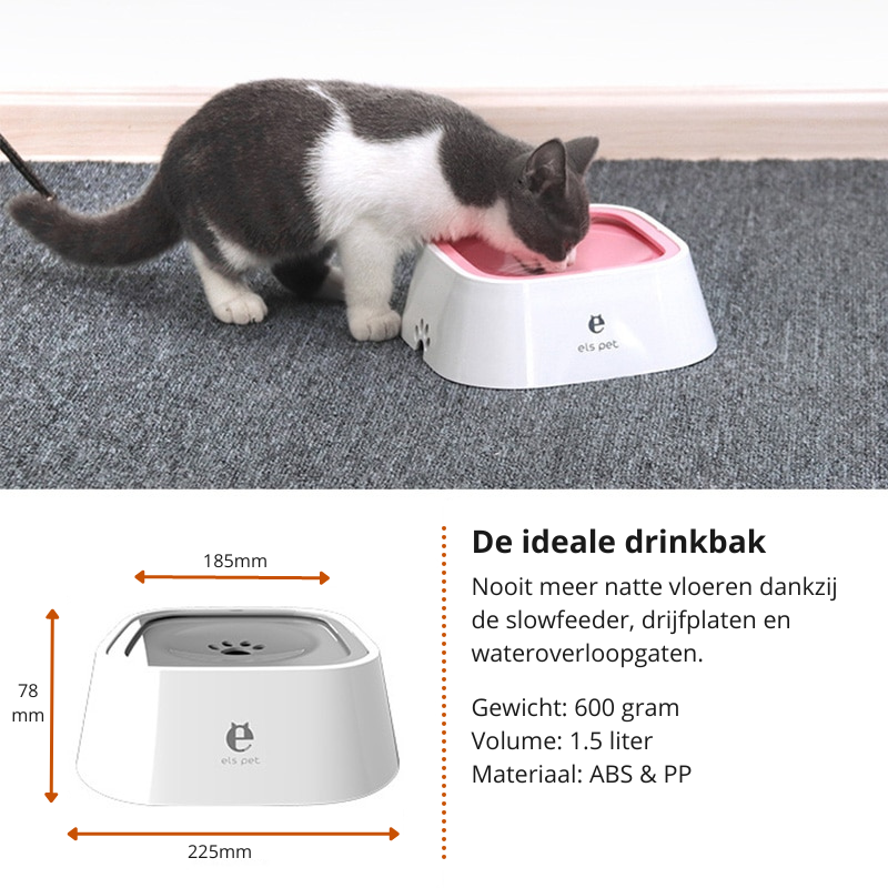 Pet Splash Bowl