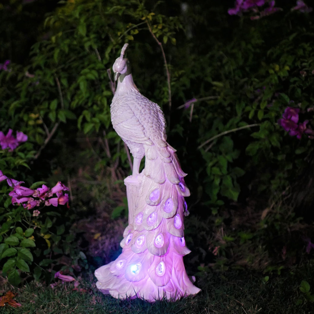 OlarPeacock – Colourful Solar Garden Stake