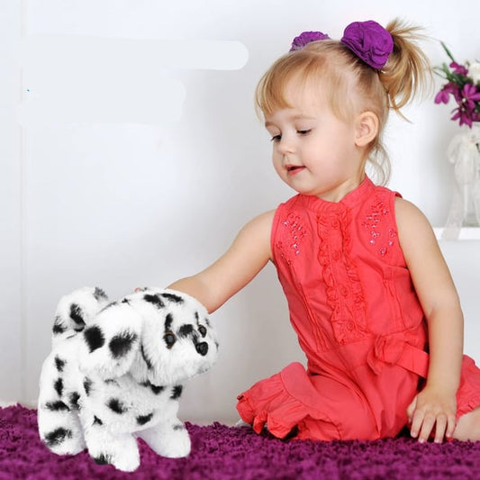 BuddyPaw – Interactive Dog Toy for Fun