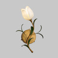 TulipGlow Wall Lamp - Natural Atmosphere for Your Interior
