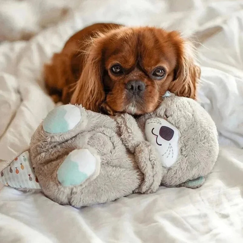 Cuddle Buddy - Soothing breathing and soft melodies