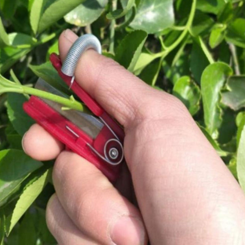 GardenGrip Tool – Easily Pick Fruits and Vegetables