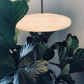 VintageAura Light – Elegant Oval Pendant Lamp for every Space