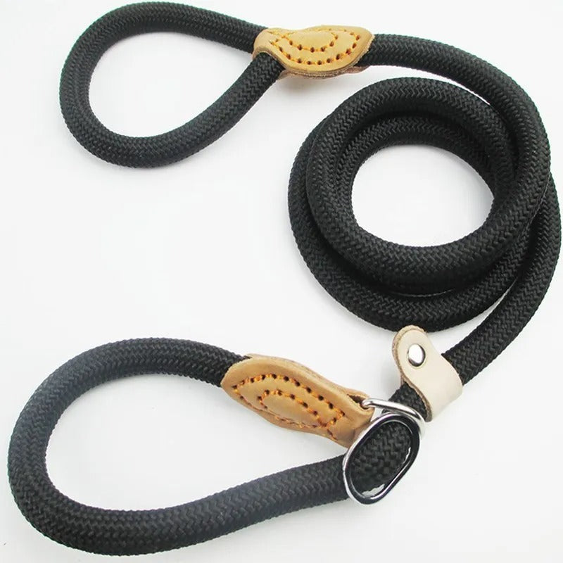 Guillaume Laisse – Sturdy Dog Leash for Walking