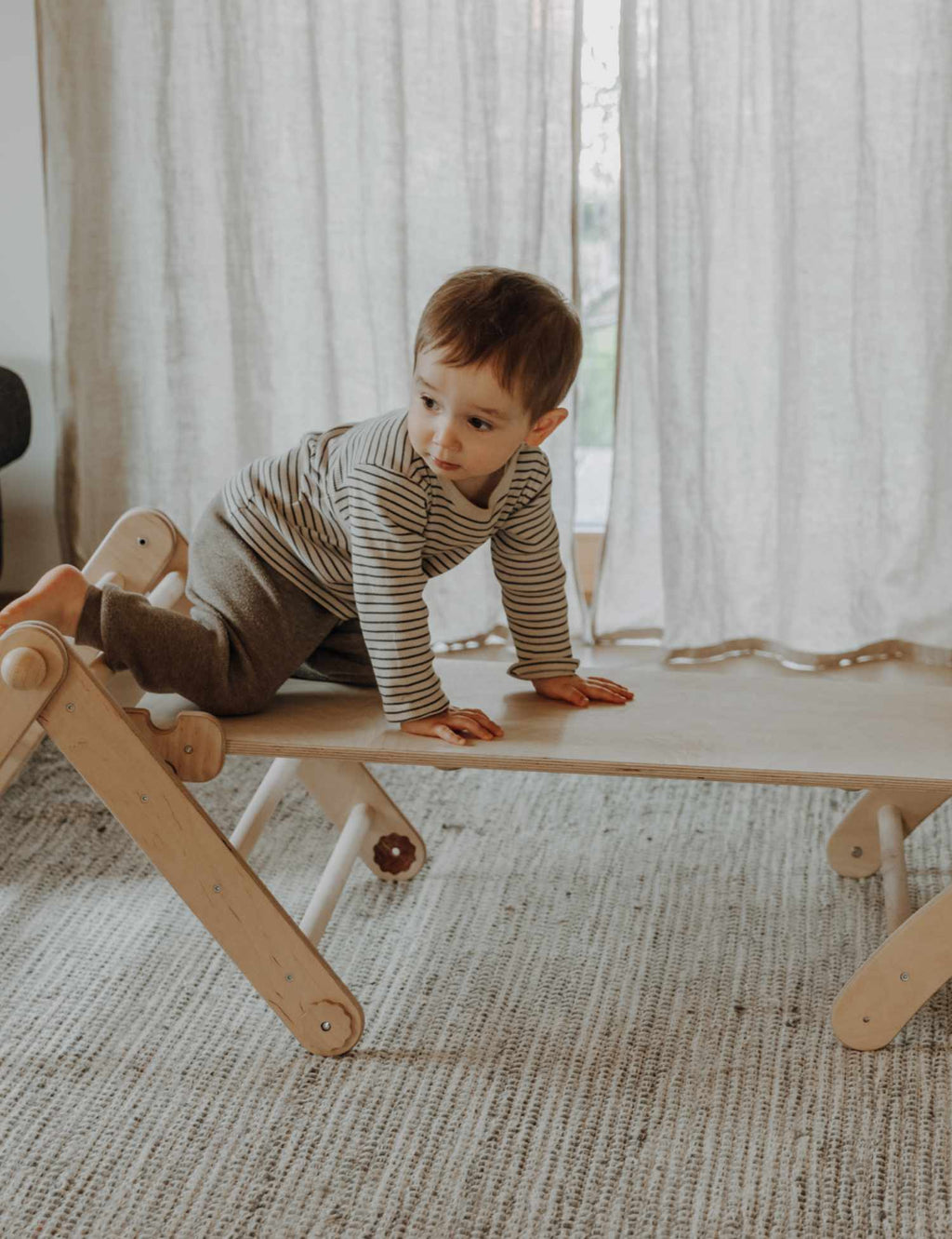PlayClimb Ladder – Slide Board and Climbing Ladder for Children