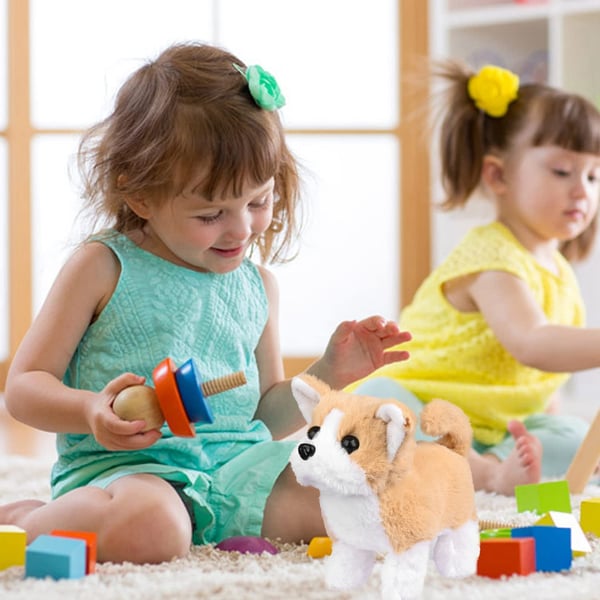 BuddyPaw – Interactive Dog Toy for Fun