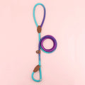Clémentine Laisse – Colorful Dog Leash for Stylish Walks