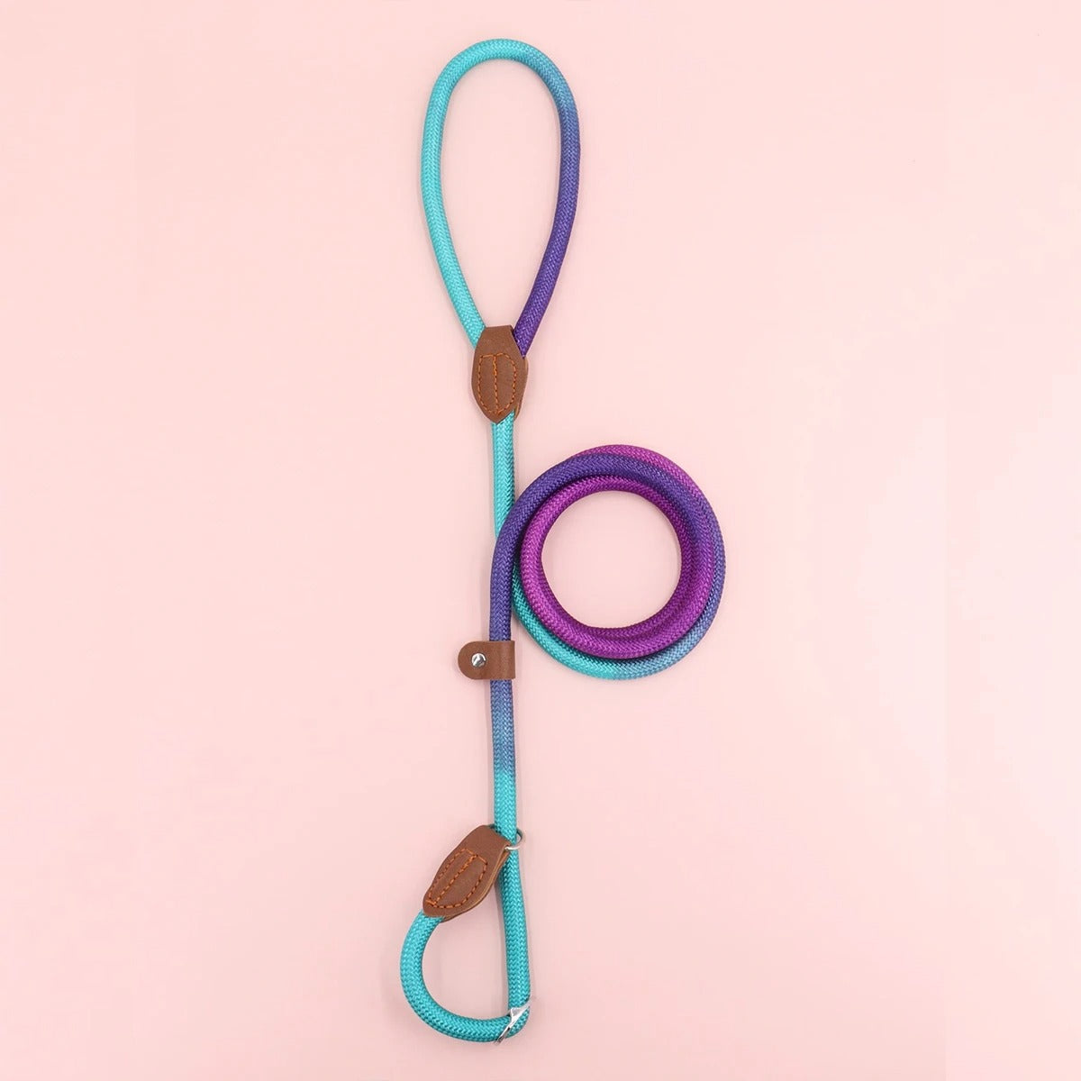 Clémentine Laisse – Colorful Dog Leash for Stylish Walks