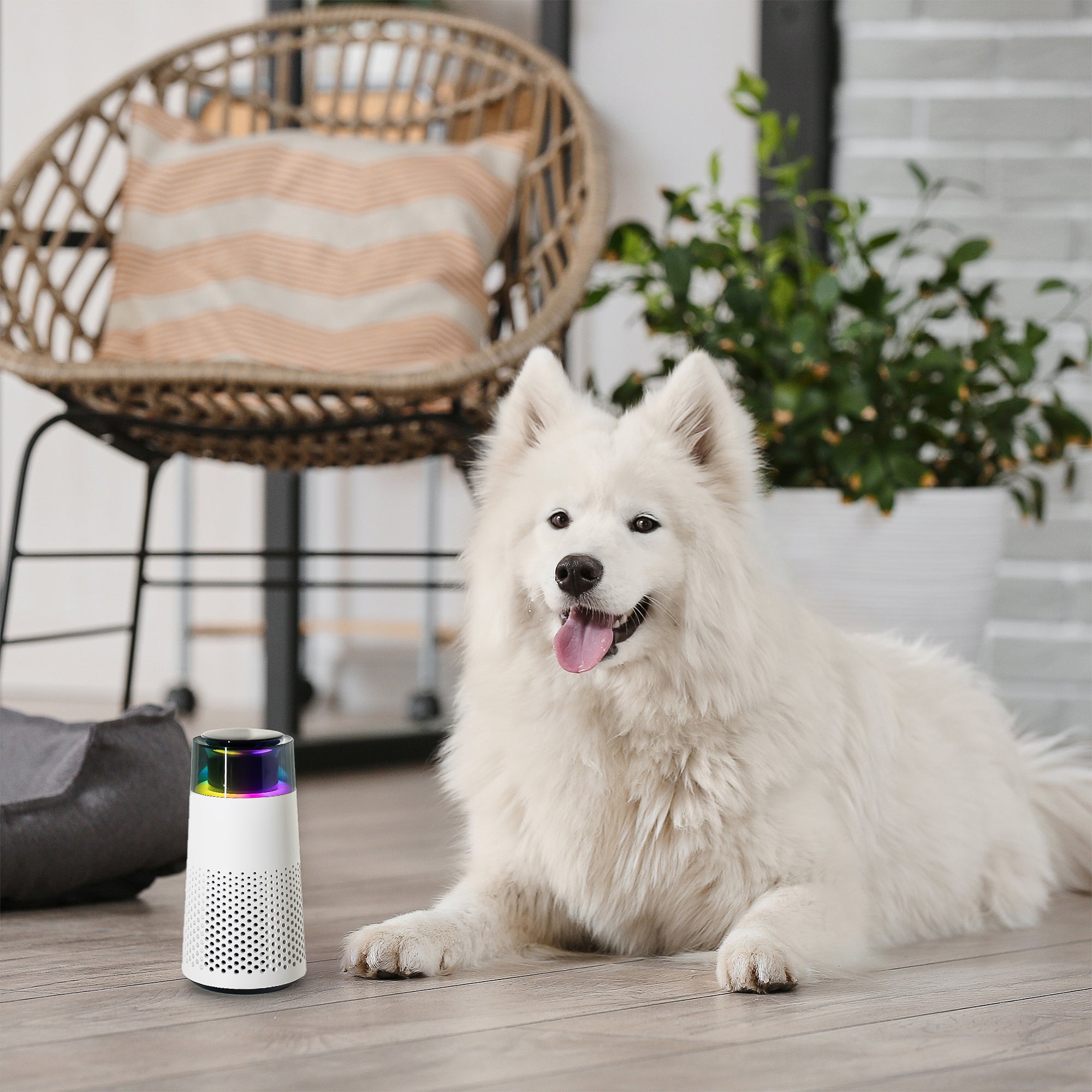 PetFresh - Aromatic Pet Odor Diffuser