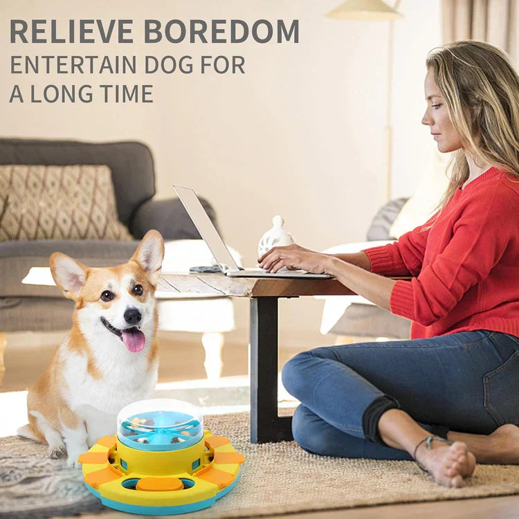 PuzzleFeast Pet Feeder - Interactive Pet Food Puzzle Game