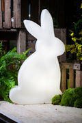 PlayRabbit - Playful Garden Lighting for Indoor and Outdoor