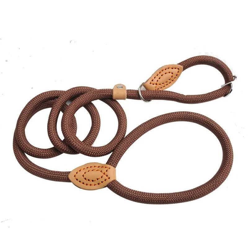 Guillaume Laisse – Sturdy Dog Leash for Walking