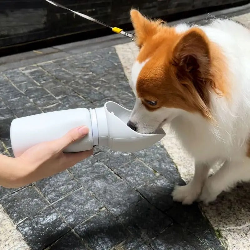 HydraPaw – Foldable Bottle for Pet Adventures