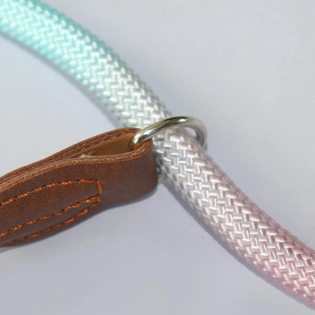 Clémentine Laisse – Colorful Dog Leash for Stylish Walks