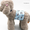 CleanPaw – Washable Dog Diaper for Worry-Free Comfort