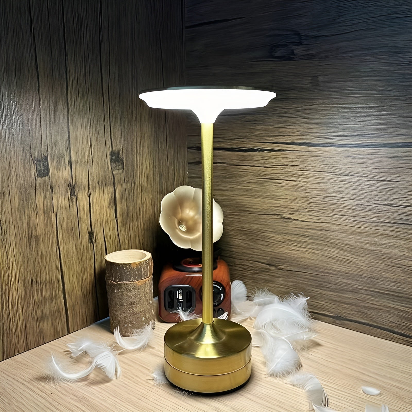 BeamEase Cordless LED Lamp – Elegance and Flexibility in One