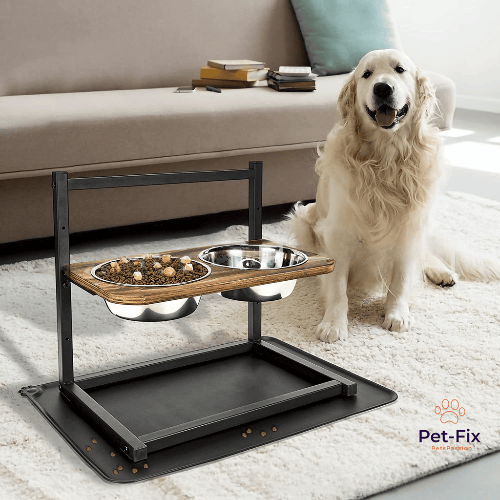 SnackHaven - Luxury Elevated Dog Feeder