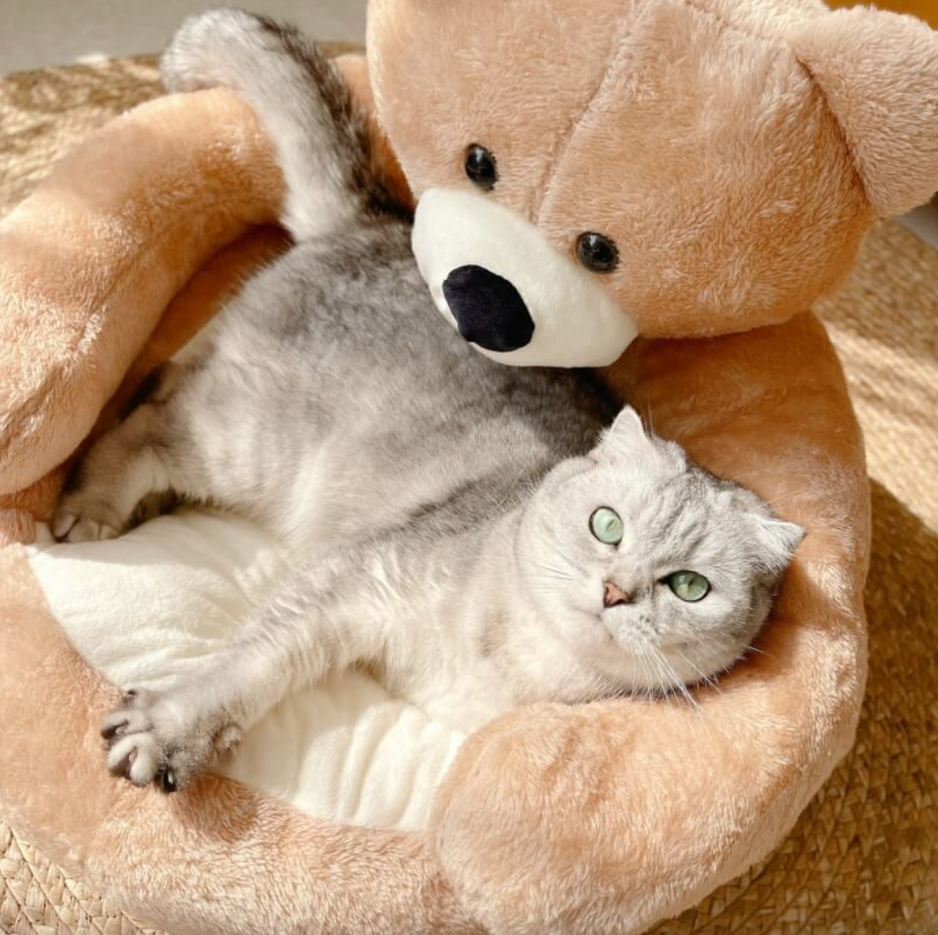 Samiya – Luxury Plush Cat Bed for Sleeping Comfort
