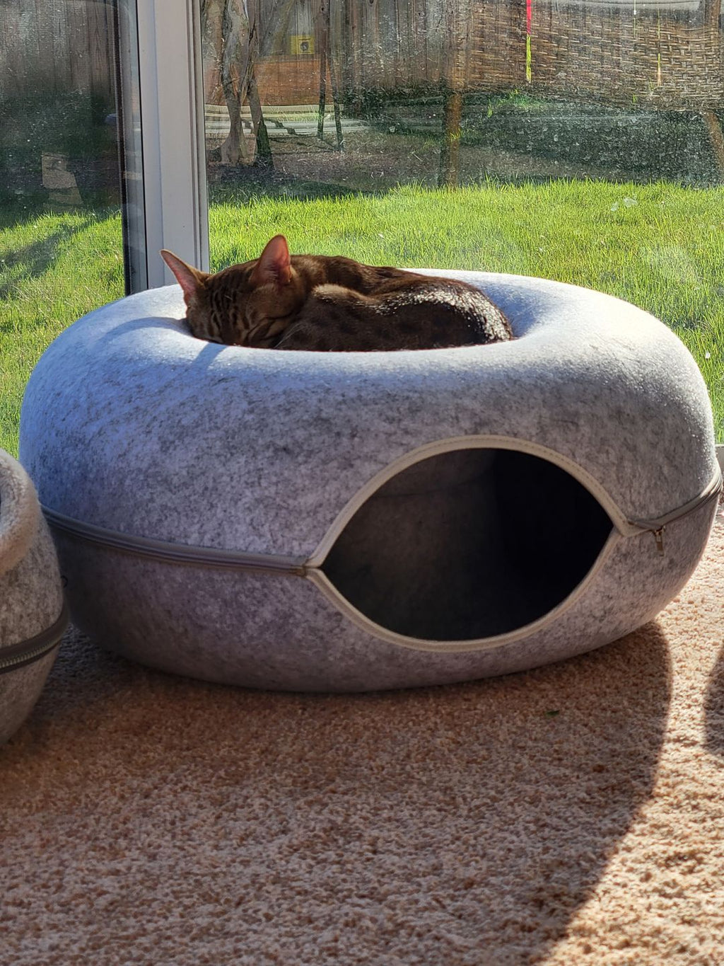 Purrfect Den - Luxury Cat Tunnel with Sleeping Area