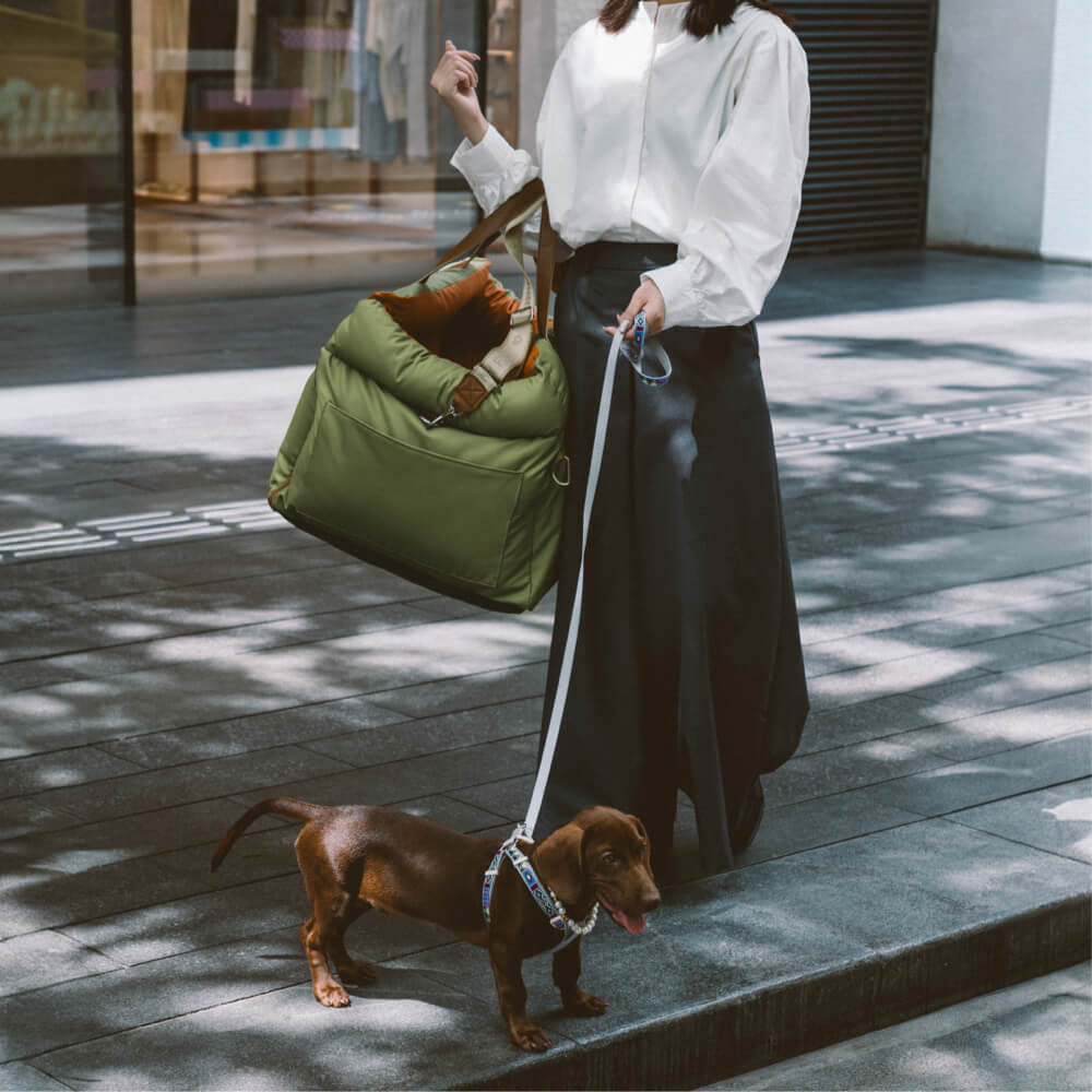 PawLuxury - Luxurious Dog Gear for Comfortable Car Travel