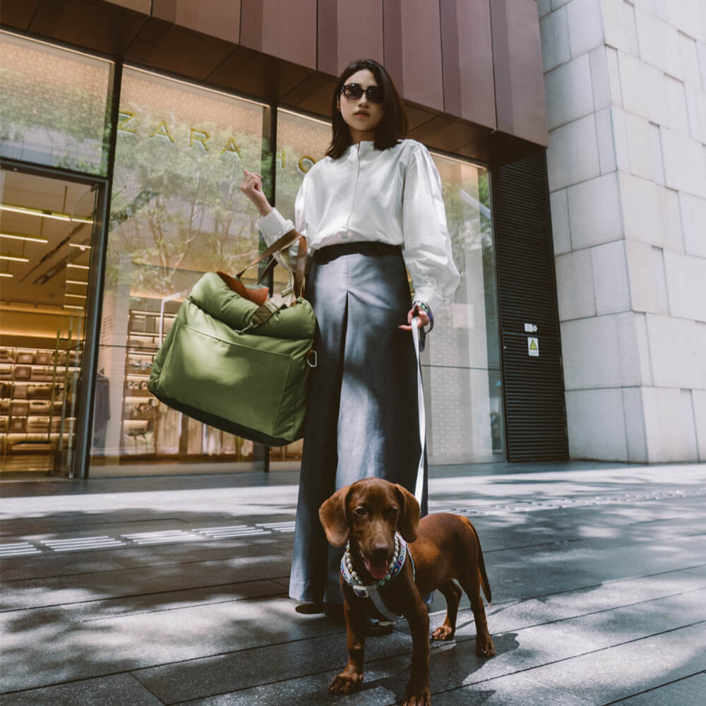 PawLuxury - Luxurious Dog Gear for Comfortable Car Travel
