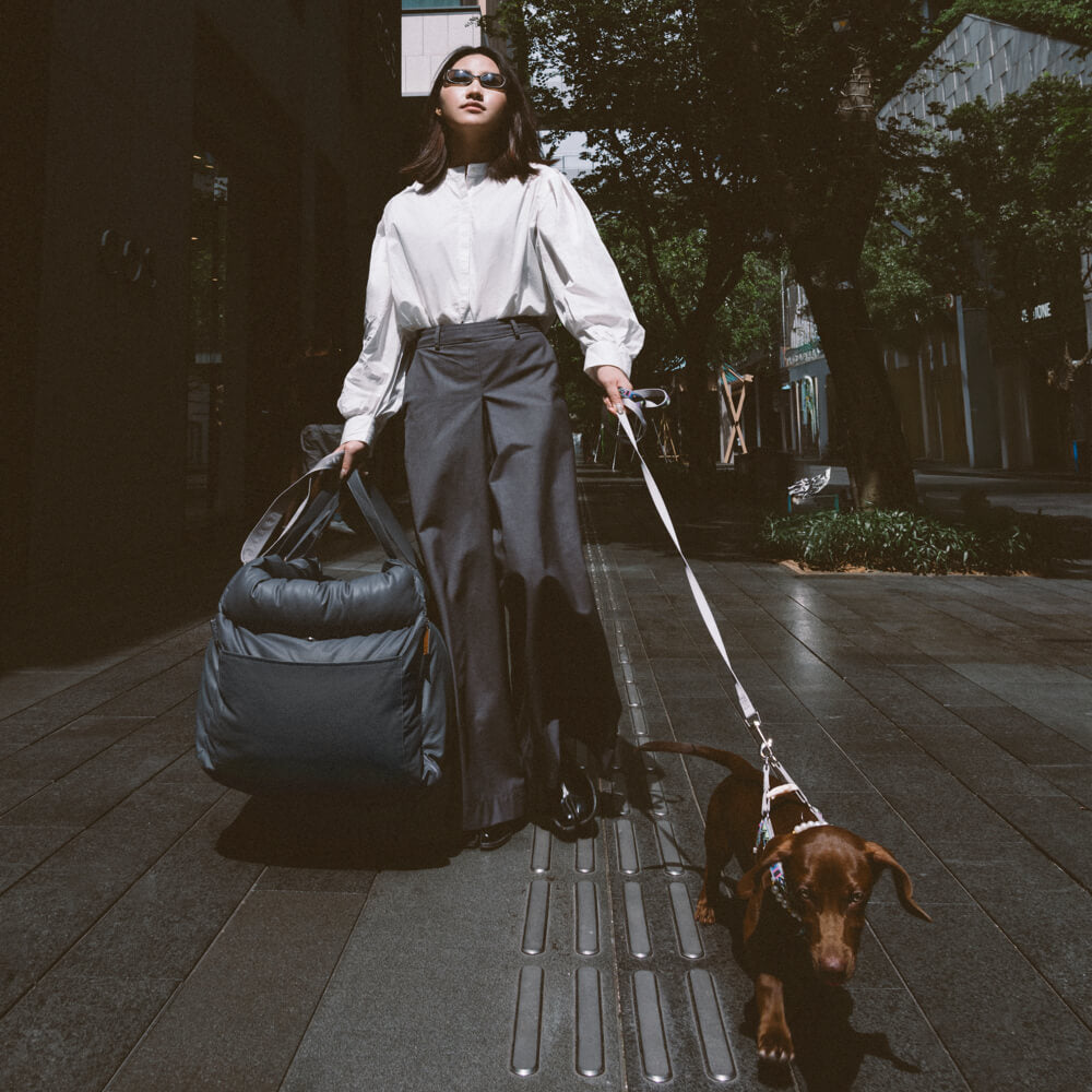PawLuxury - Luxurious Dog Gear for Comfortable Car Travel