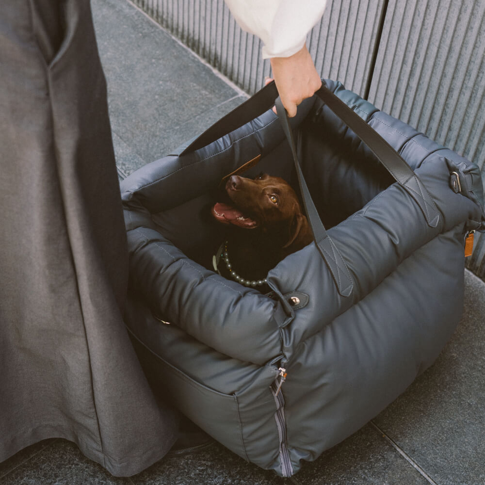PawLuxury - Luxurious Dog Gear for Comfortable Car Travel