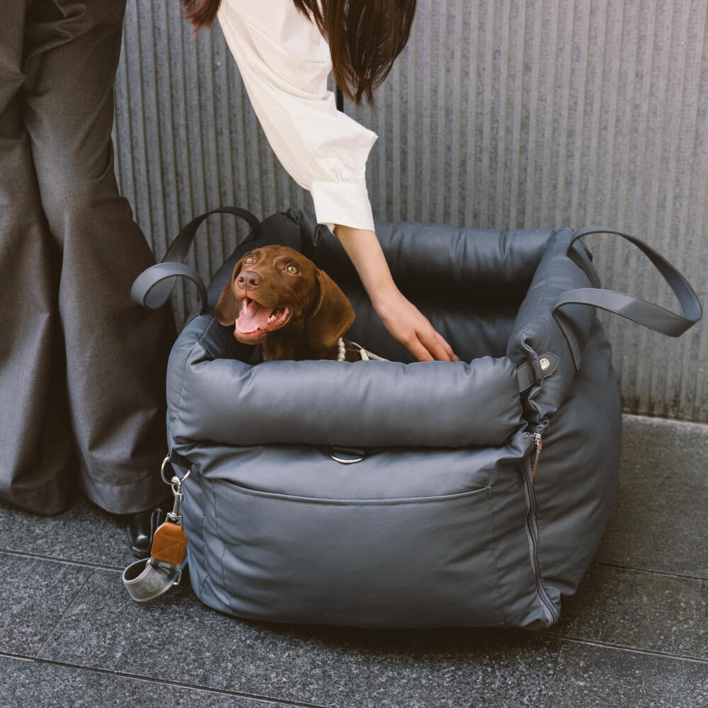 PawLuxury - Luxurious Dog Gear for Comfortable Car Travel