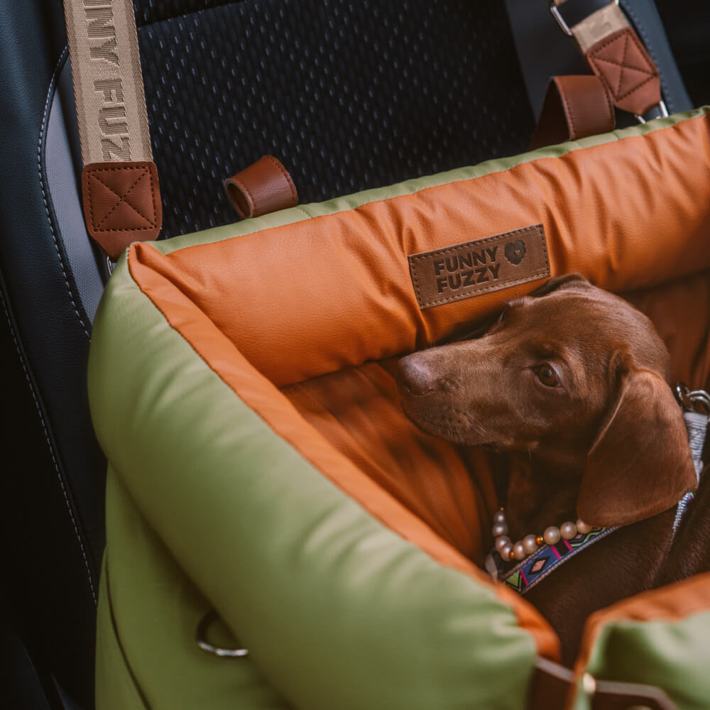PawLuxury - Luxurious Dog Gear for Comfortable Car Travel