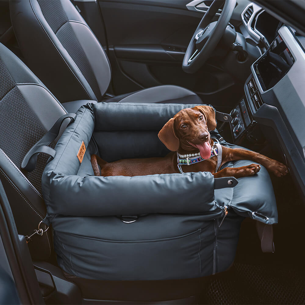 PawLuxury - Luxurious Dog Gear for Comfortable Car Travel